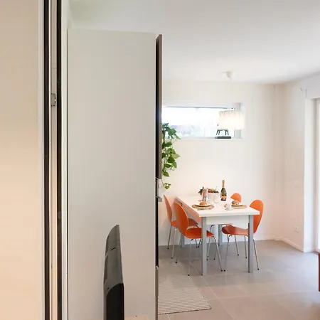 Civetta Blu, Blue Owl *