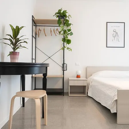 Civetta Blu, Blue Owl Trento