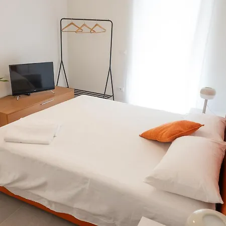 Civetta Blu, Blue Owl *