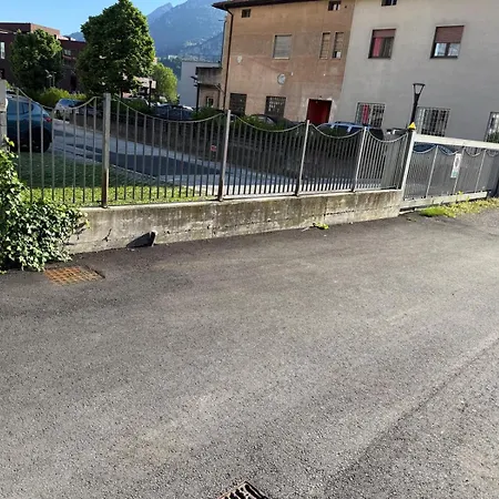 Civetta Blu, Blue Owl *