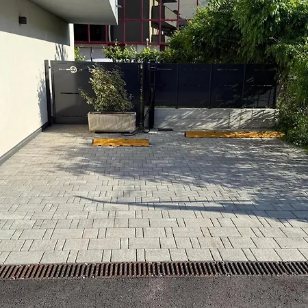 Civetta Blu, Blue Owl Trento