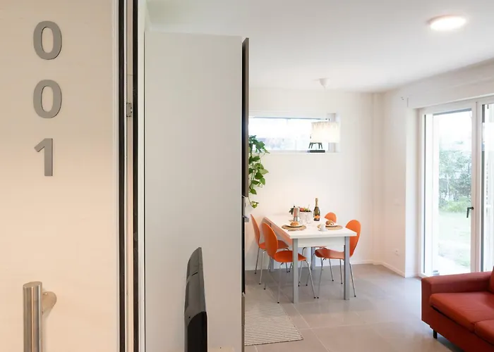 Civetta Blu, Blue Owl *