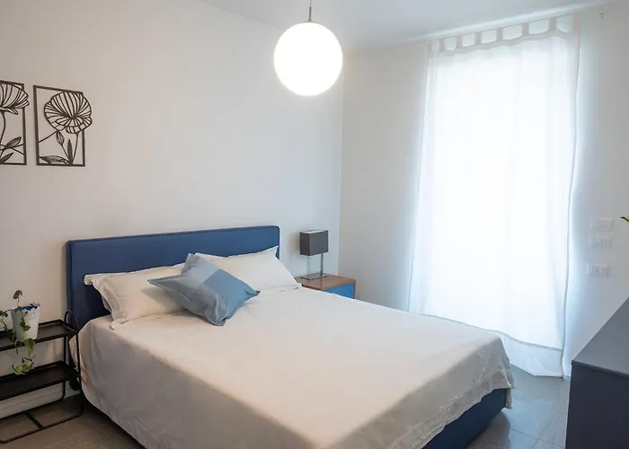 Civetta Blu, Blue Owl Trento