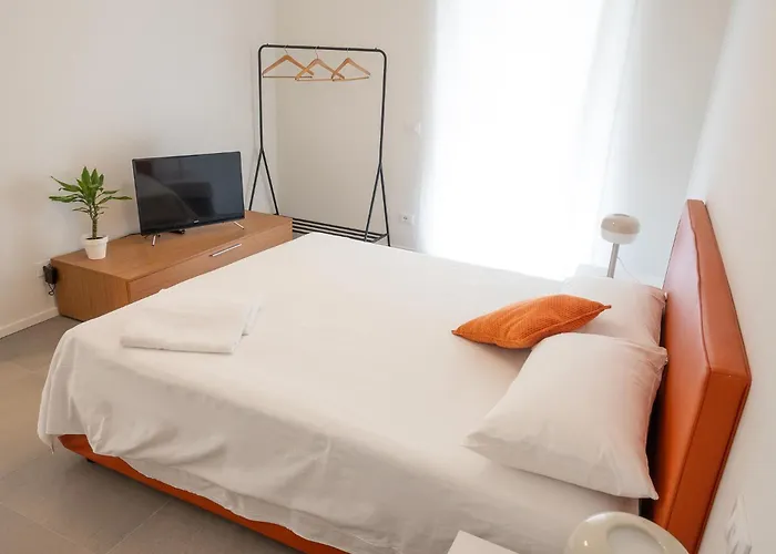 Civetta Blu, Blue Owl *