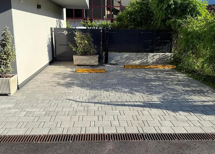 Civetta Blu, Blue Owl Trento